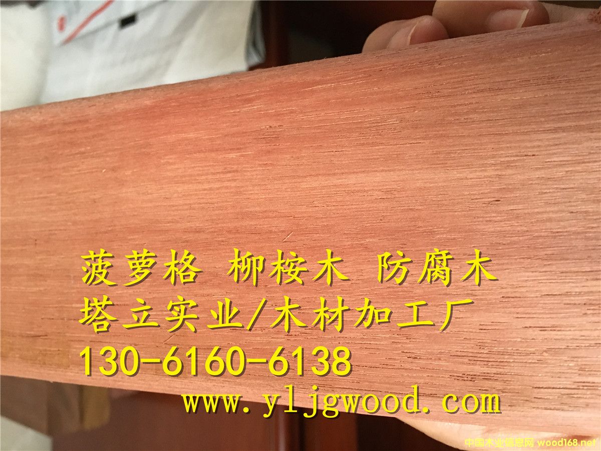 �y��ľ �t����  ����ľ�� ���^�@�� ľ�Y������ ����ľ�ذ�