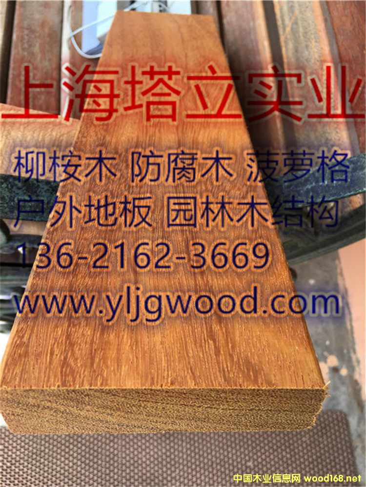 ���޲��}�����ľ|����ذ�|�@�־��^ľ��