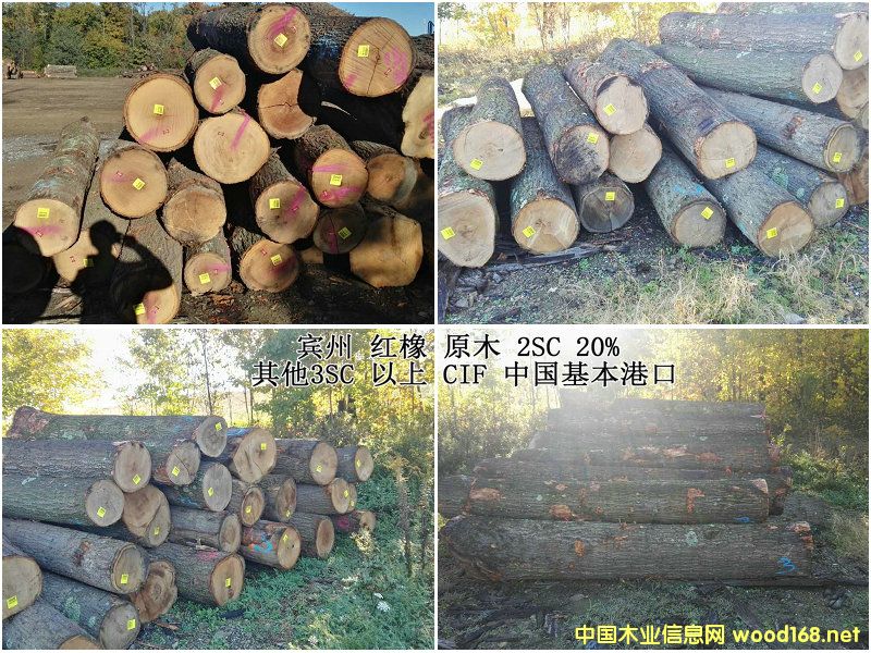 �t�����С����ԭľ