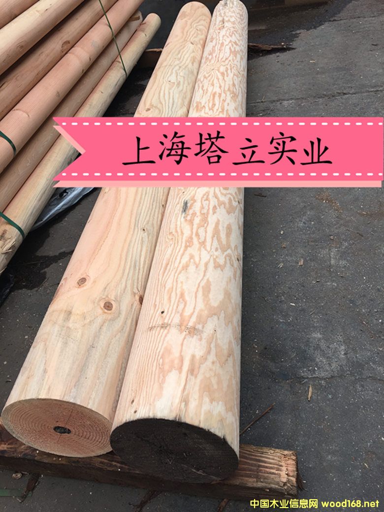 �����ɵ�Ԕ����B