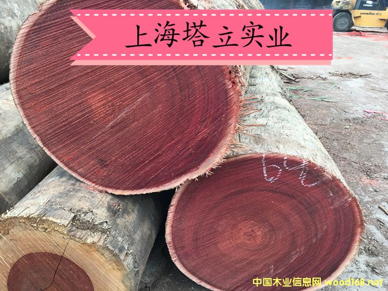 �R������ľ����ذ�@�־��^����ľ�ĵ�Ԕ����B