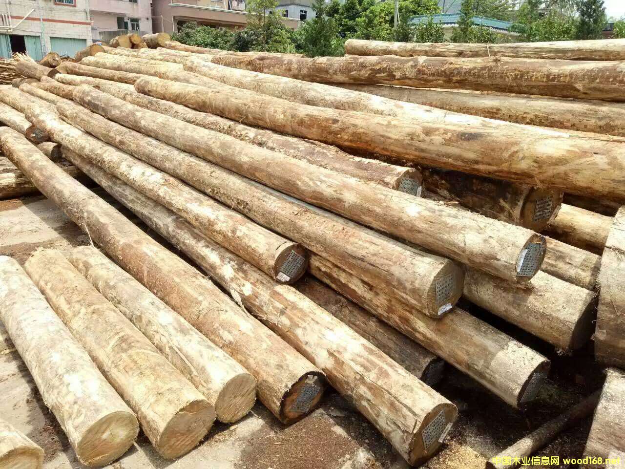 õ�����Ԕ����B