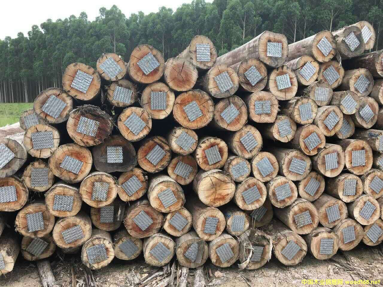 ���м���ľ������õ���񣩵�Ԕ����B