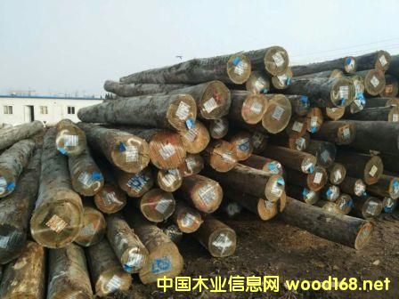 �������骣���Ԕ����B