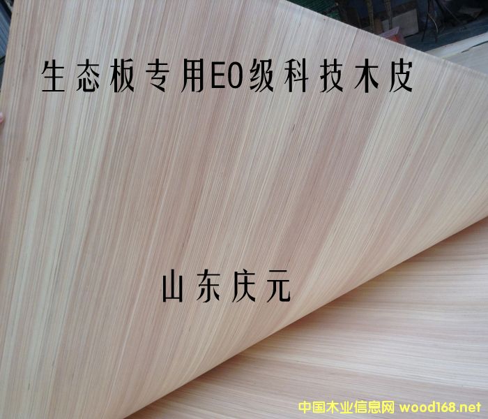 �h���Ƽ�ľƤ��Ԕ����B