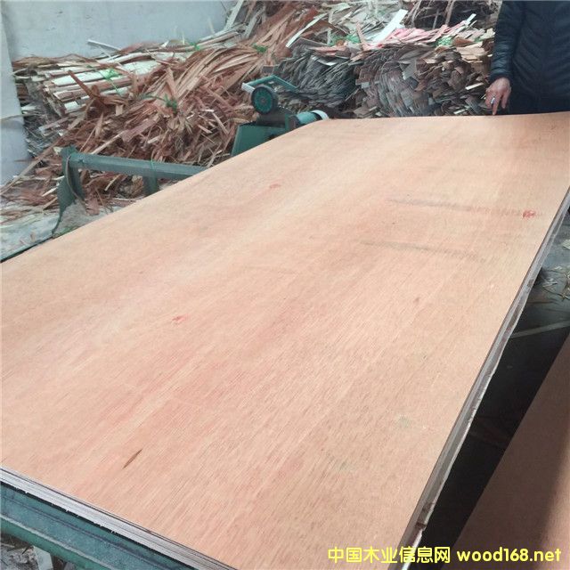 �t�sľ��Ԕ��(x��)��B