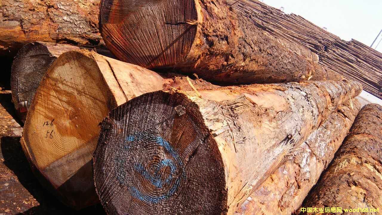 ������ԭľ���󏽱�����