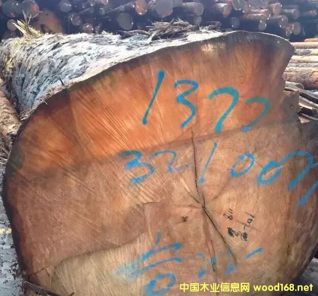 �M�ڼ��ô��Fɼ������ԭľ��Ԕ����B