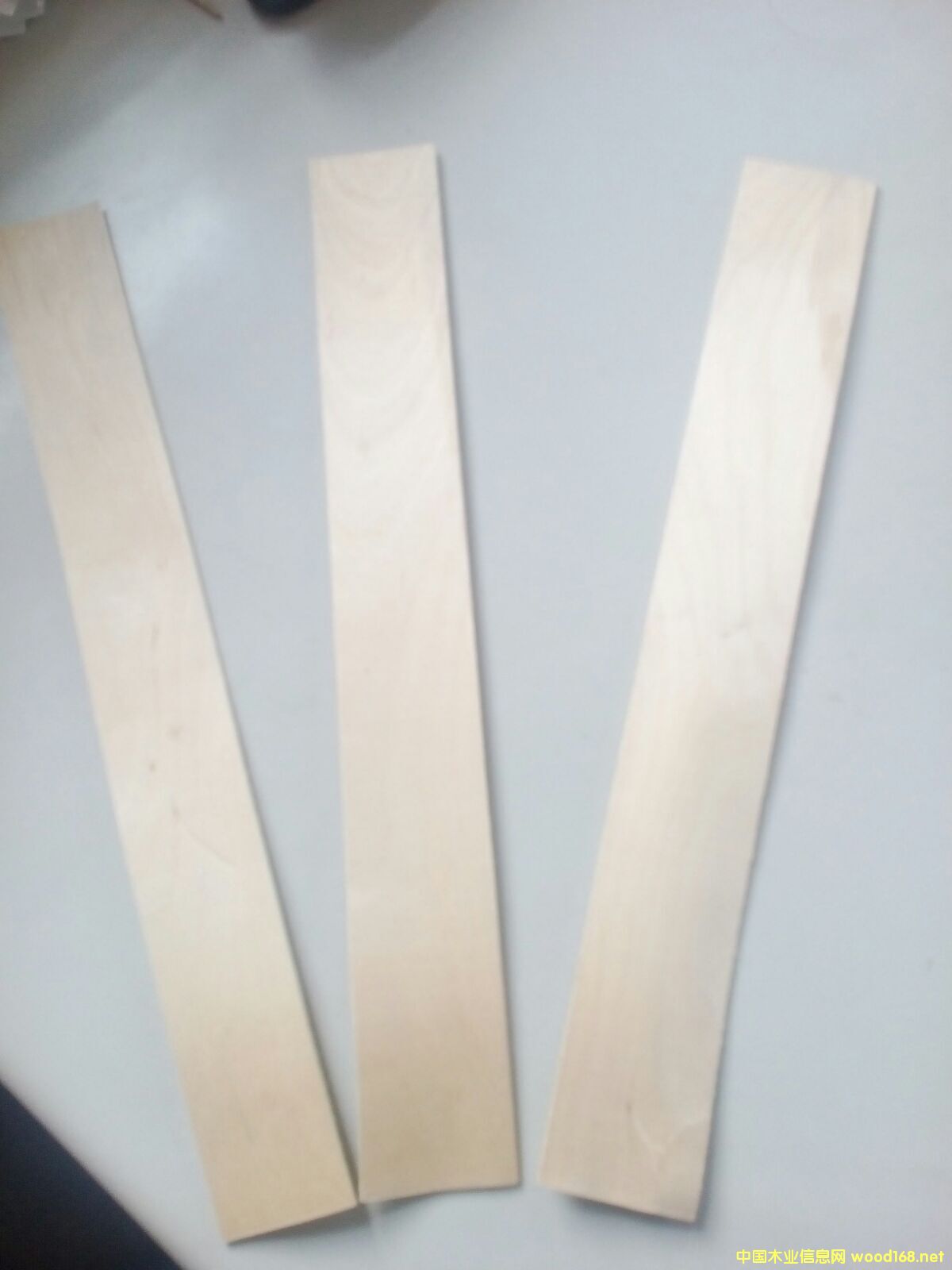 ���_˹�M�ڃ��|��ľ���