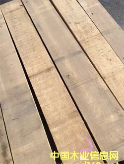 �c���鿴���_˹��ľ�����ĵ�Ԕ���Y��