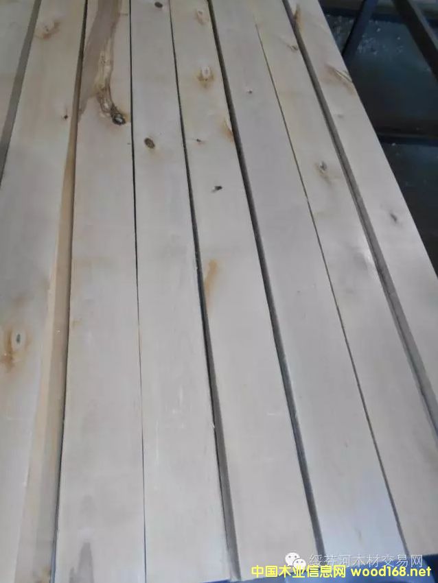 ���_˹��ľ䏲ģ�NHLA�˜ʣ�