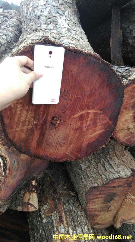 �Ϸ�ľ�ĵ�Ԕ����B