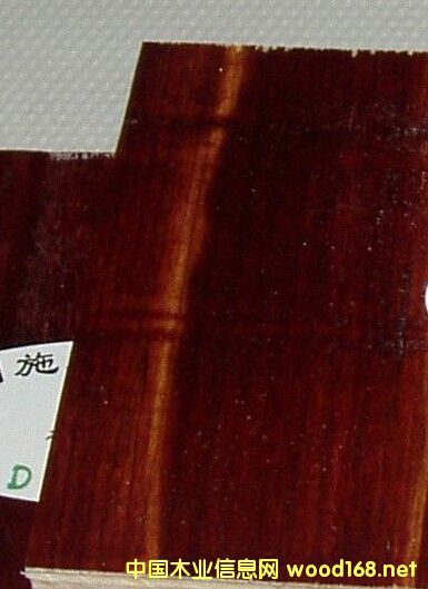 �c���鿴��ȩ�z����ģ���Ԕ���Y��