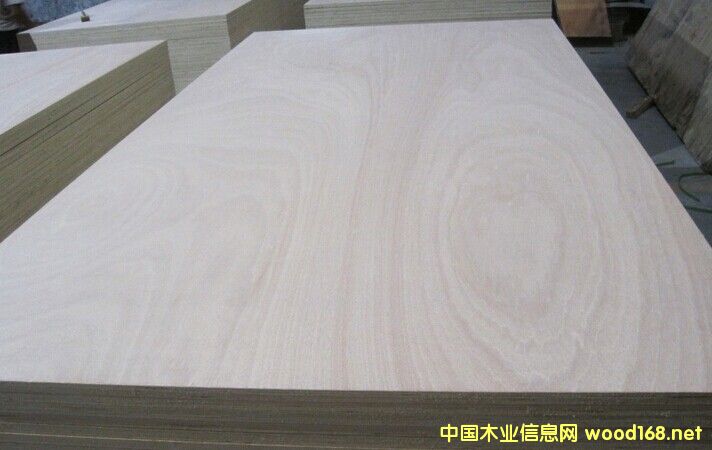 �c���鿴���|12mmE1���ߙn�Ҿ������Ӱ�Ŵ�DƬ