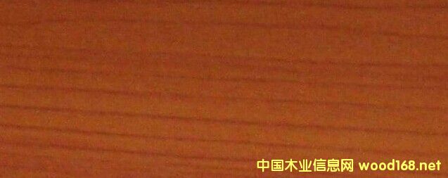 �c���鿴��ľ���p�N������Ԕ���Y��