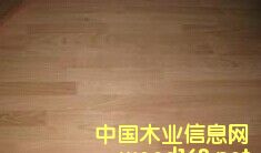 �c���鿴�����t��ָ�Ӱ��Ԕ���Y��