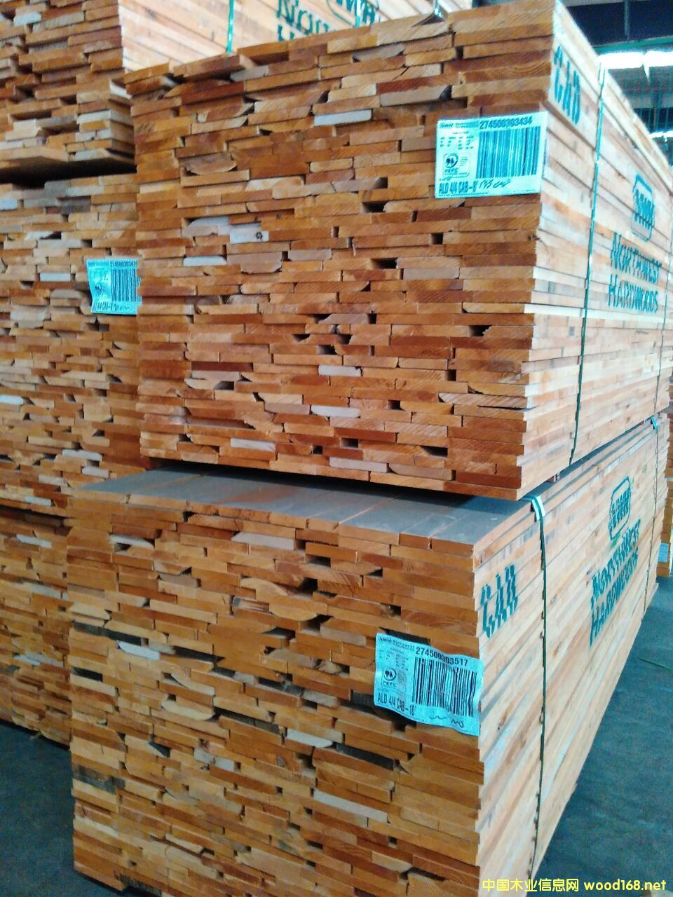 赤楊的詳細(xì)介紹