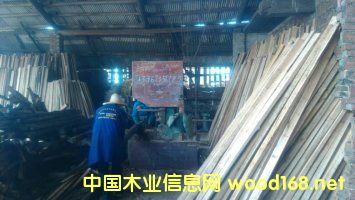 ��ͩľԭľ��䏲ĵ�Ԕ����B