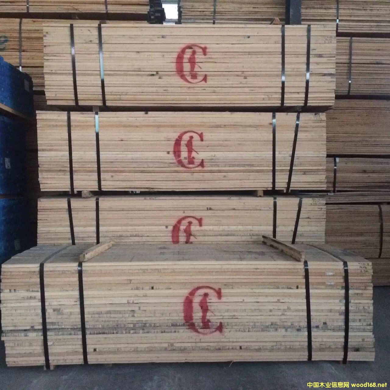 紅橡的詳細介紹