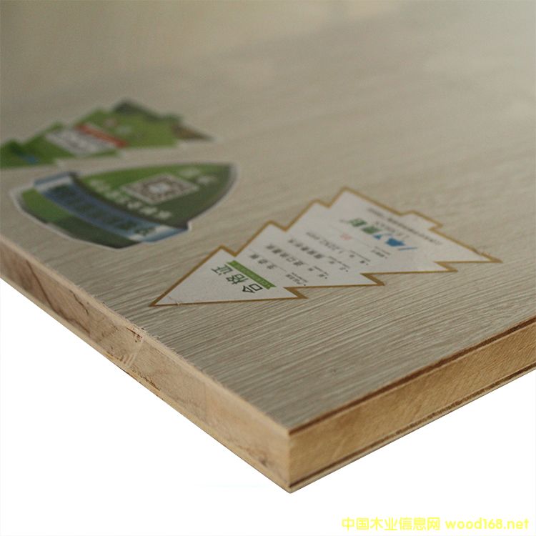 灰雞翅的詳細(xì)介紹