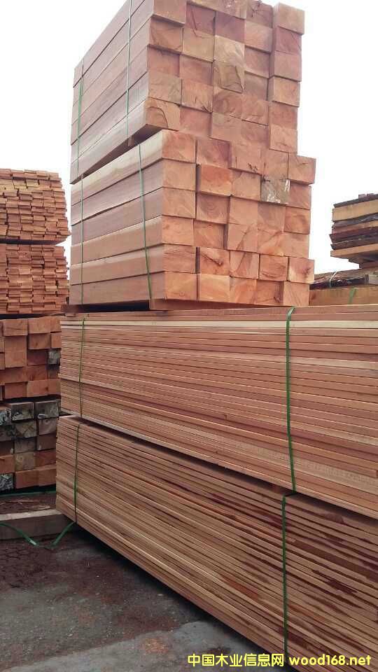 ����ľ��Ԕ����B