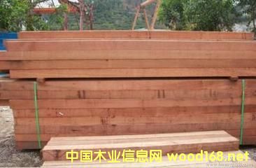 �tѩ�ɵ�Ԕ����B