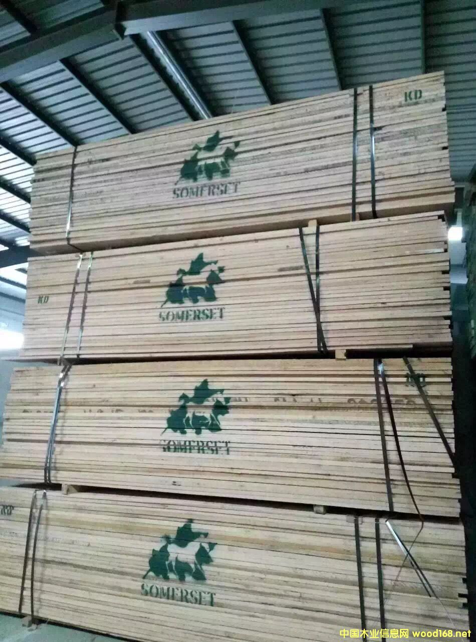 ��Ϟľ2.54cm 1COM