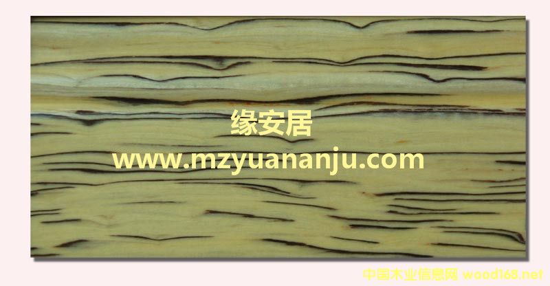 �Ƽ�ľƤˇ�g���_��8502