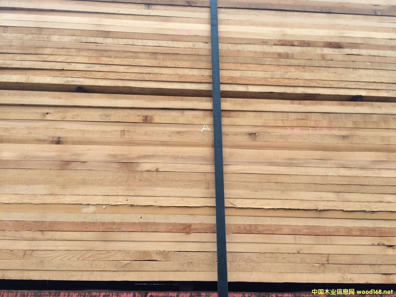 [��] �o���Fɼ�����