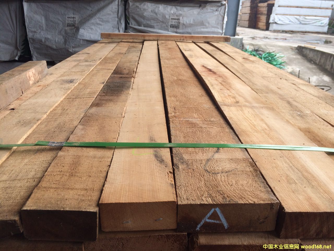 [��] �o���Fɼ�����