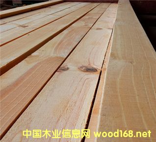 ݗ���ɵ�Ԕ����B