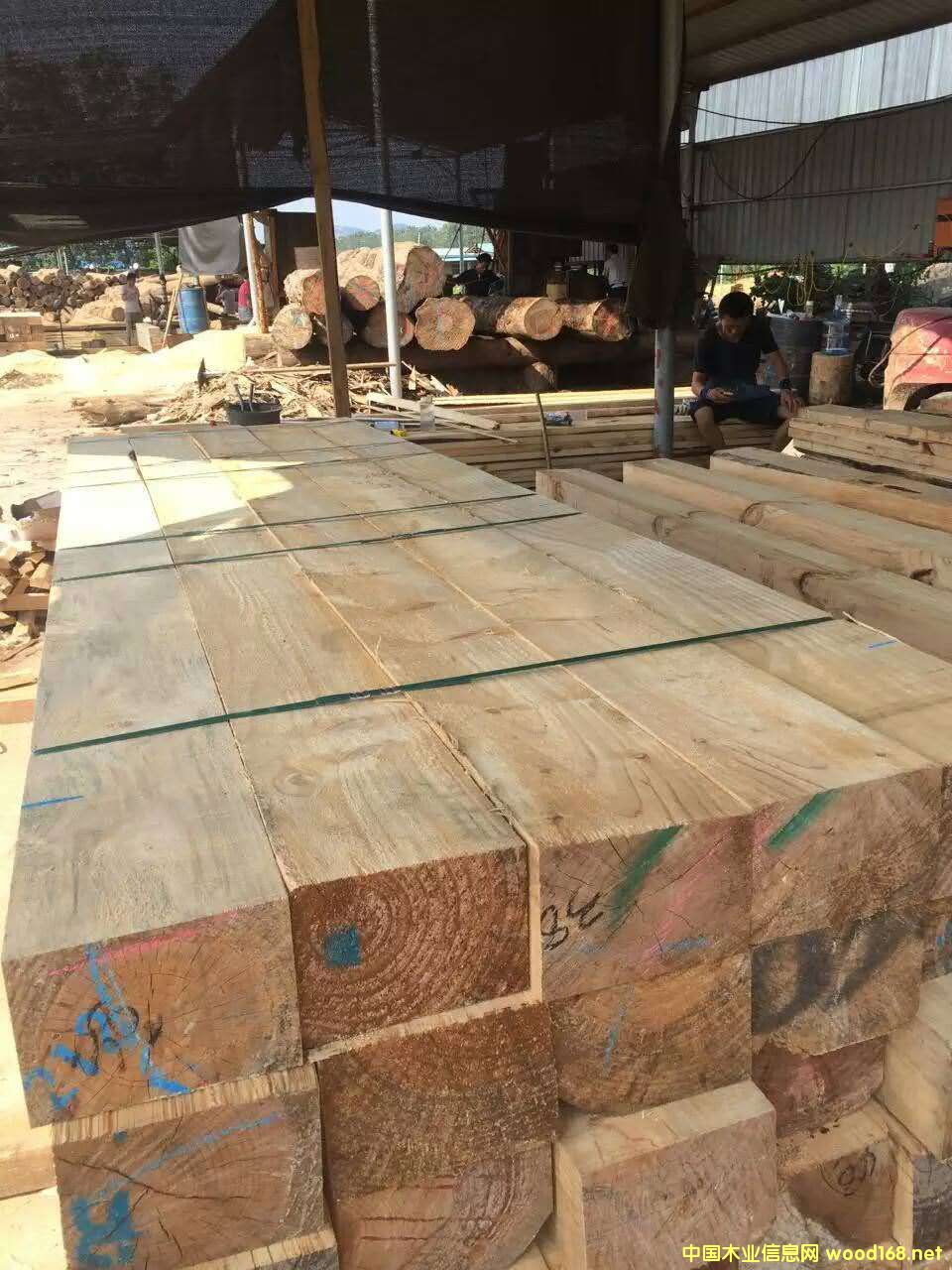 口料的詳細介紹