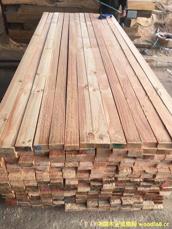 �����û�����