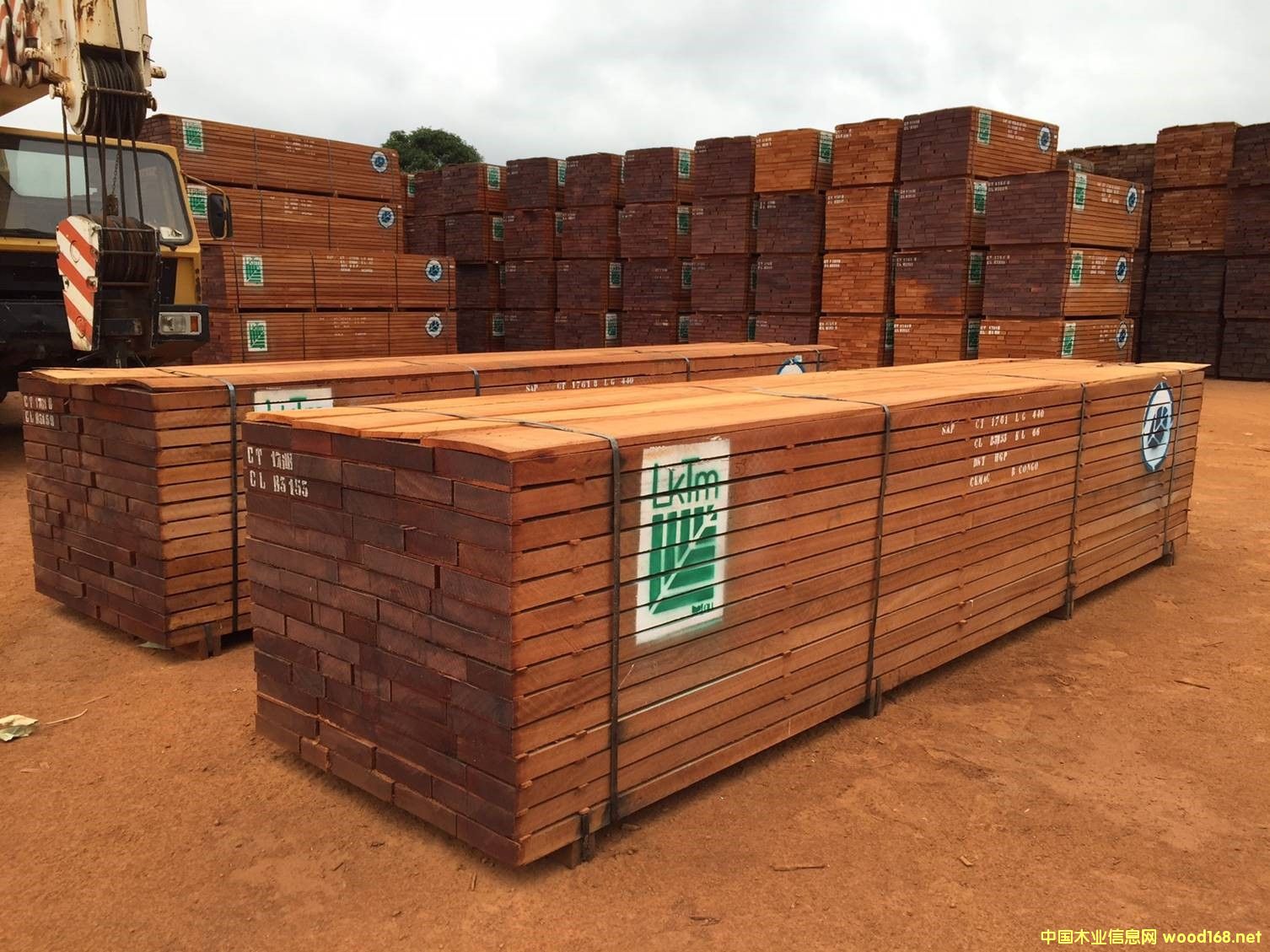 ����ɳ������Ԕ��(x��)��B