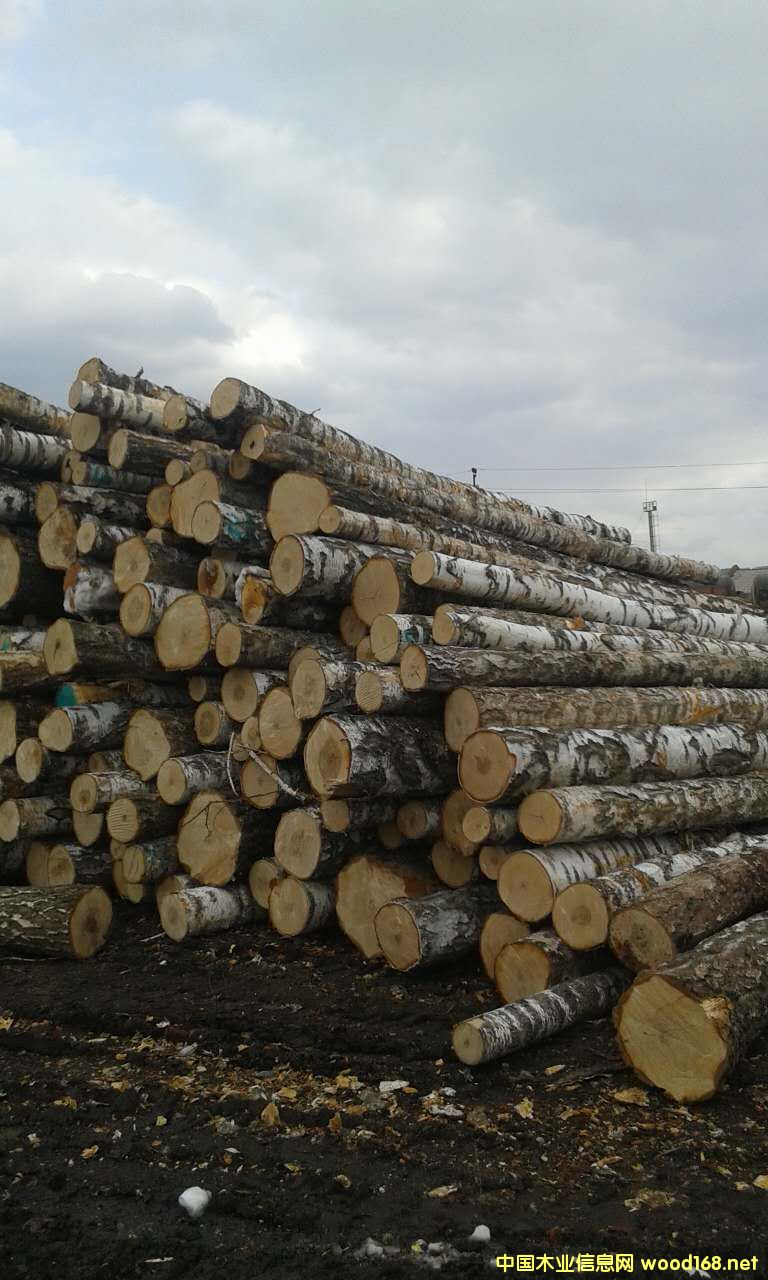 ���_˹�ט��Ԕ����B