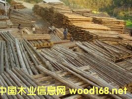 ɼ���Ԕ��(x��)��B