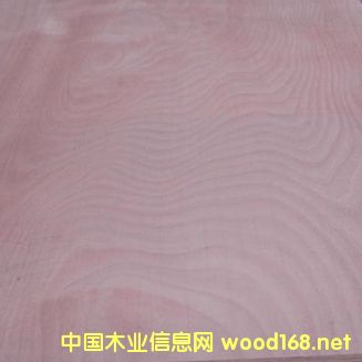 �W�棨�W��������Ԕ����B