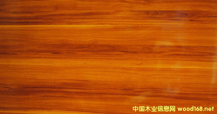 ���ľ��Ԕ����B