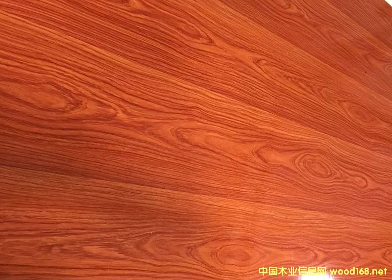 �������ҵ�Ԕ����B