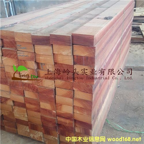 �c���鿴�̈́�ľ�t��ľ�Ŵ�DƬ