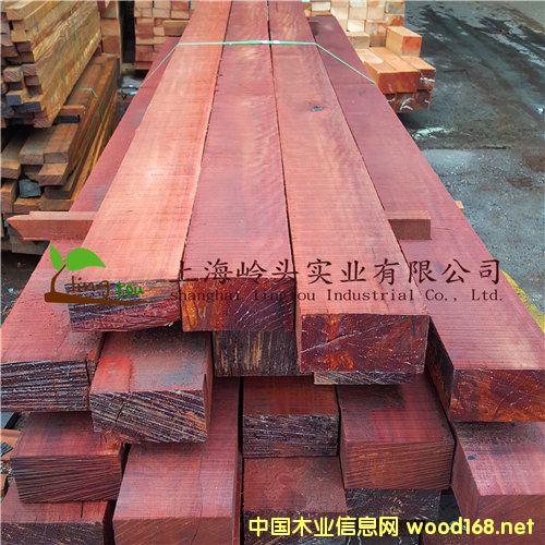 �c���鿴�t�̈́�ľ��Ԕ���Y��