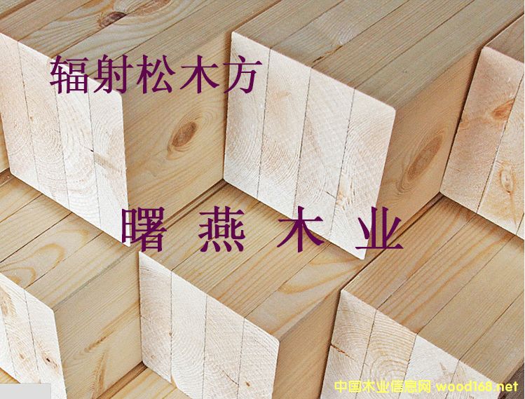 ���|��ľľ����ľ�l����ġ�����ľ��������ľ����Ԕ����B