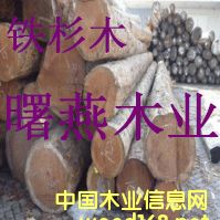 ���ô��Fɼԭľ