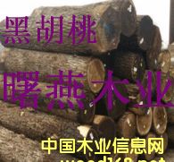 �ں���ľԭľ����ģ�ľ��