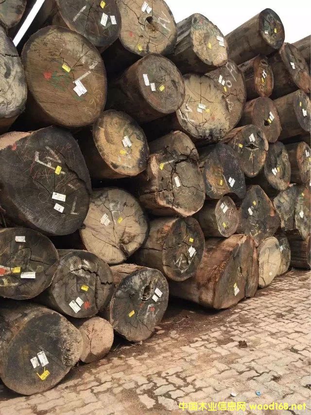 �M��ԭľ���l��Ԕ����B