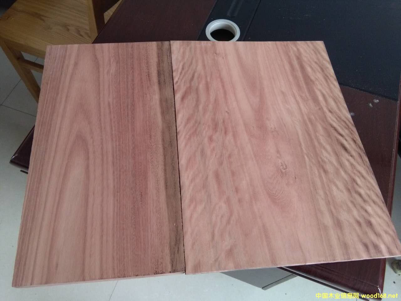 玫瑰木的詳細介紹