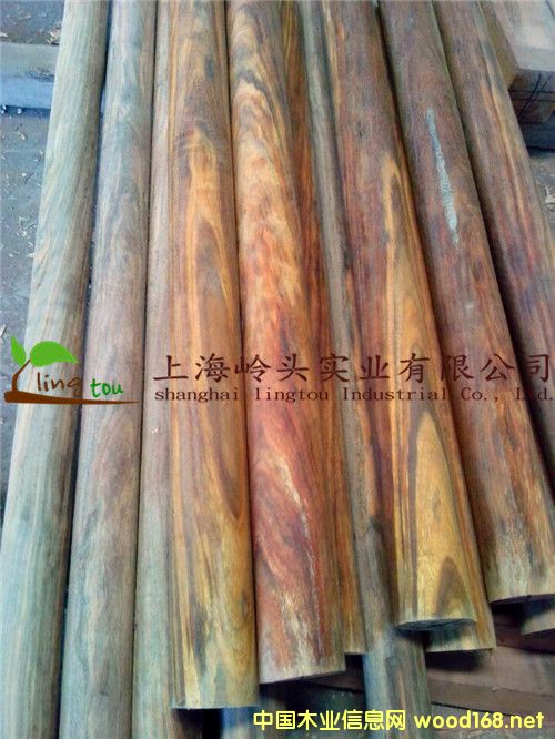 ���޲��}���Ԕ����B