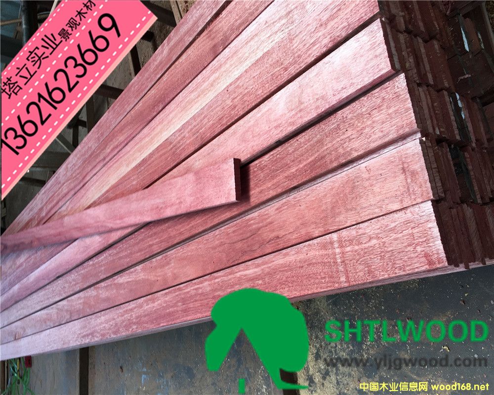 �t�������ľ�Ĉ@�־��^�����ذ��y����ľ�ڂ���