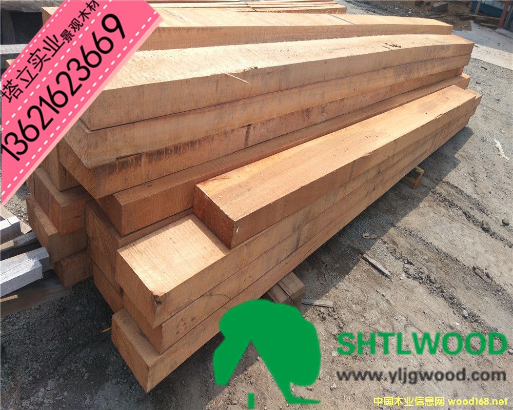 ��������ľ���M(j��n)��ľ�ġ���(h��)��ذ�