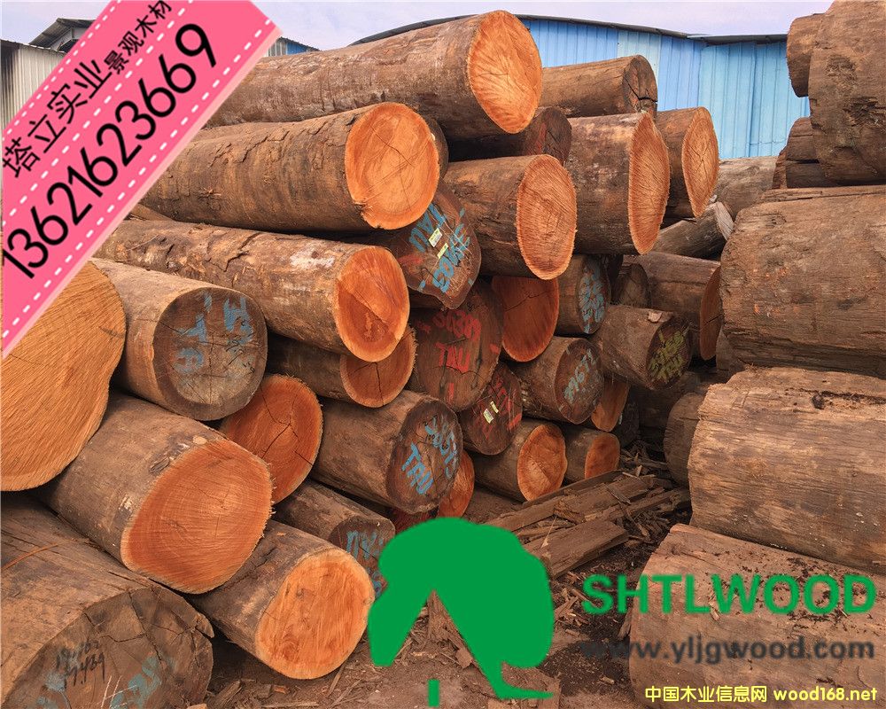 �̈́�ľ���t��ľ���t���񡢰͵�ľ����ľ���y��ľ���ڂ��ҡ���ľ